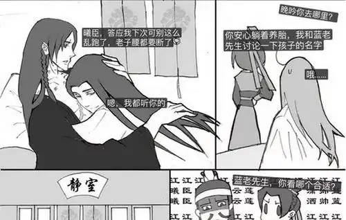 《魔道祖师》蓝曦臣怀孕,道友的焦点都放在江澄给孩子起的名字上