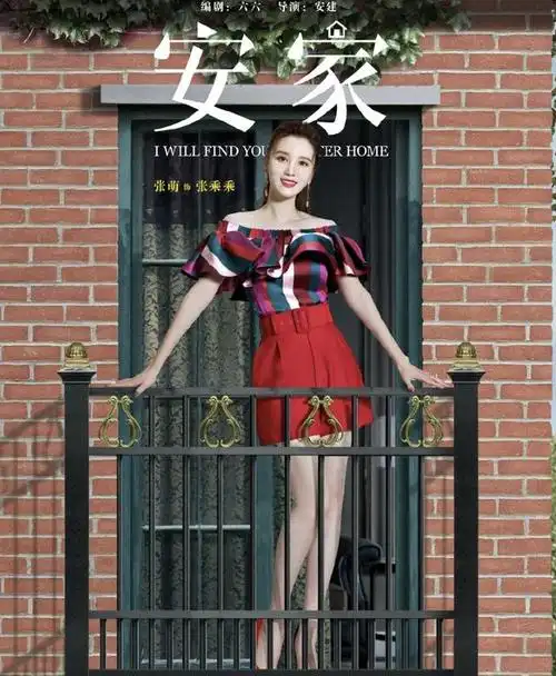 电视剧《安家》剧情介绍