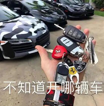 不知道开哪辆车 - 斗图表情包 - 爱逗图