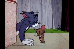 音乐会推荐猫和老鼠的莫扎特古典音乐会