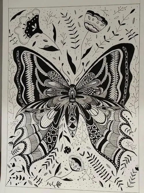 昆虫线描装饰画   蝴蝶#学前教育