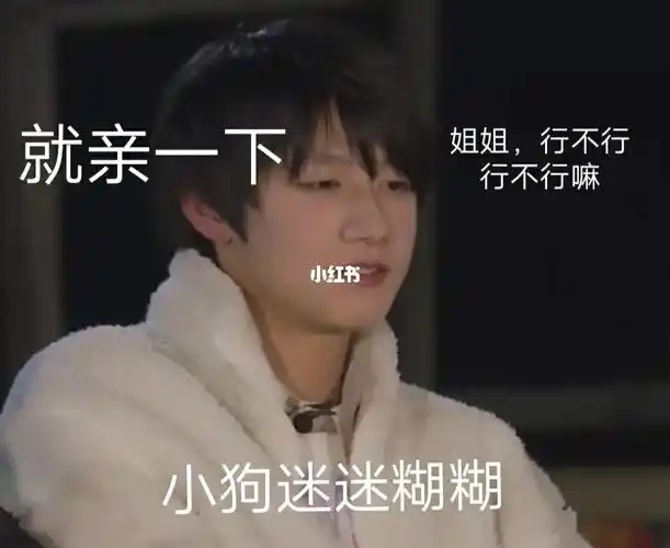 tf家族表情包大赏