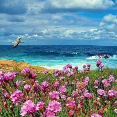 优雅的头像女风景