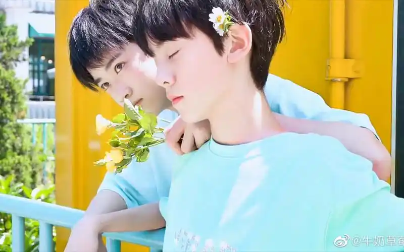 左邓:因正主避嫌而出名的cp,不管了,我就是要死磕到底!