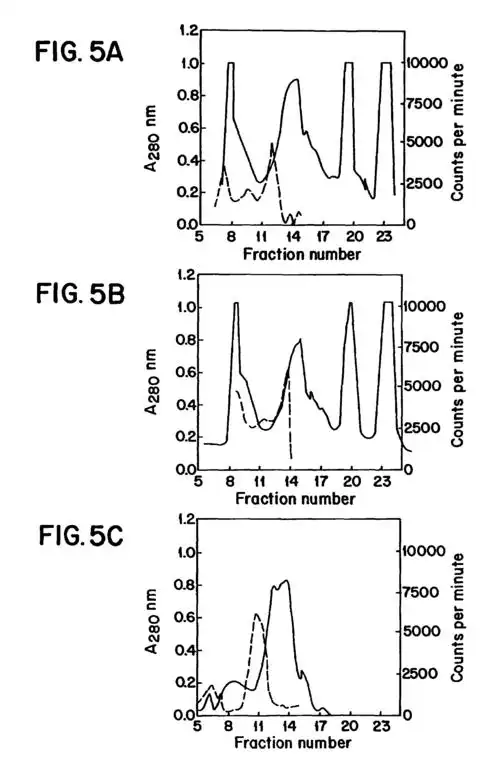 dna or rna encoding a recombinant dengue envelope protein