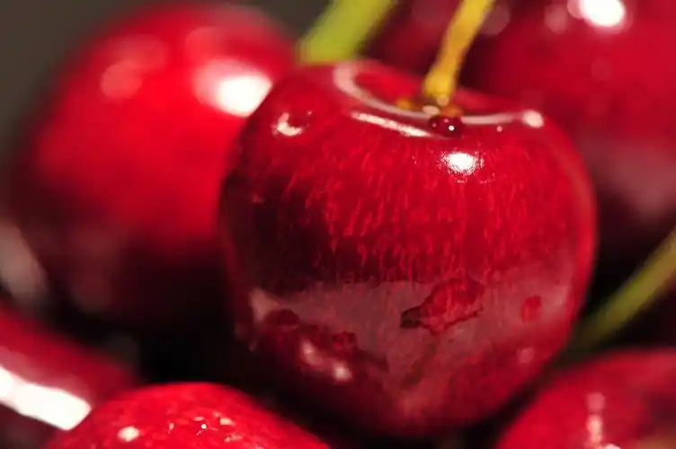 新鲜樱桃高清图片