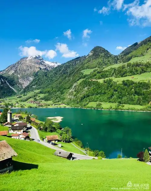 山水瑞士:欧洲八国游之三(2)金色山口观光列车