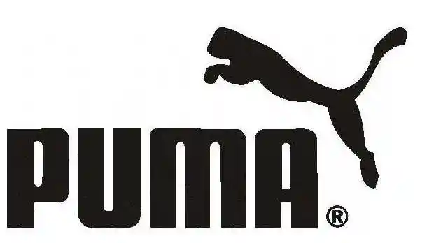 客户验厂咨询- 彪马验厂咨询包通过,东莞验厂辅导服务公司