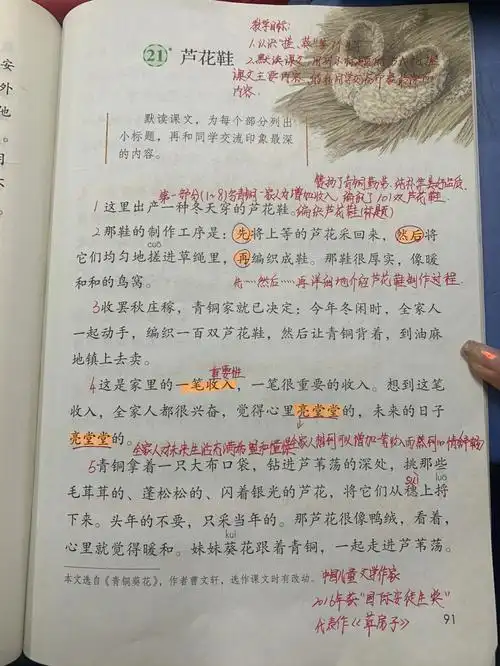 部编版四年级下册第六单元第21课芦花鞋