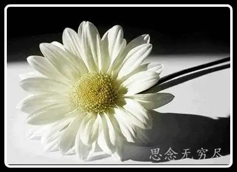 怀念去世父亲中元节, 缅怀逝去的亲人表示怀念故人的图片_微信头像