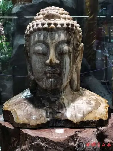 2020第三届中国观赏石网络博览会,奇石预展《释迦牟尼佛》