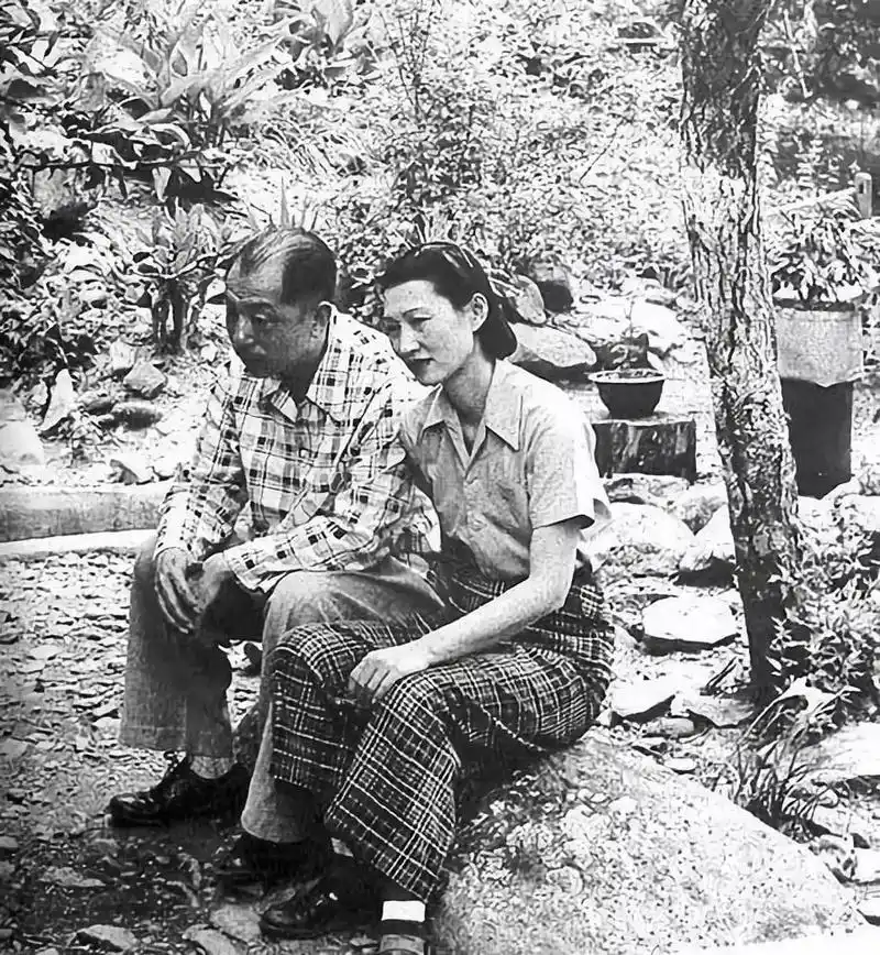 赵四小姐⑦懂你的人才配得上你的余生