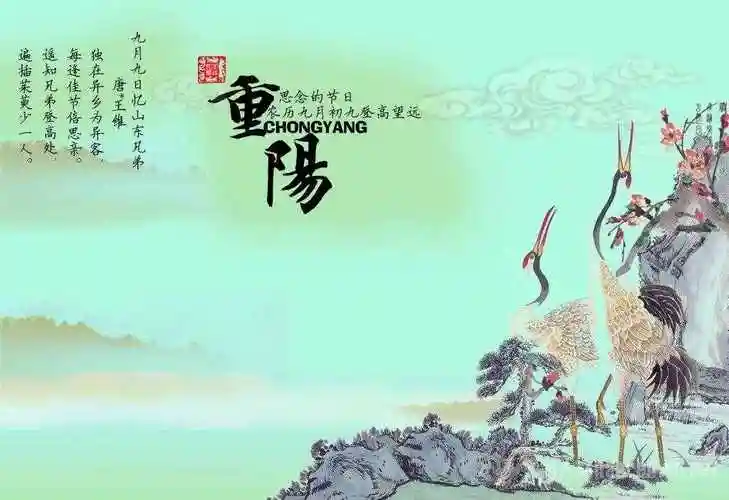 不堪今日望乡意,强插茱萸随众人.