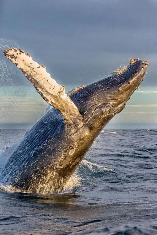 humpy by scott e. allen on 500px