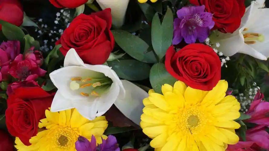 0000/5(1人评分)所属分类:鲜花原图分辨率:3840x2160下载此壁纸类似