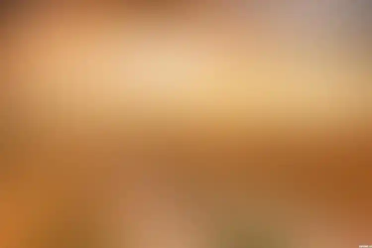 高清实用模糊背景