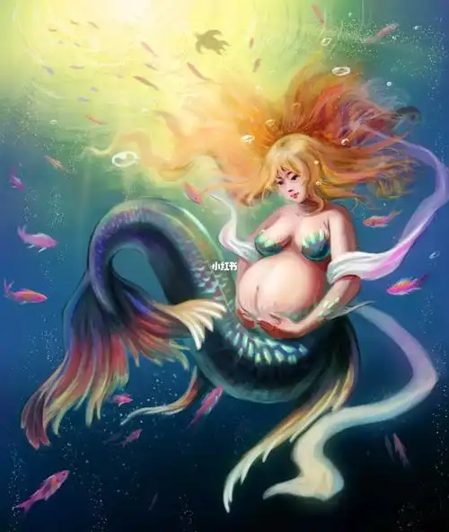 美人鱼怀宝宝