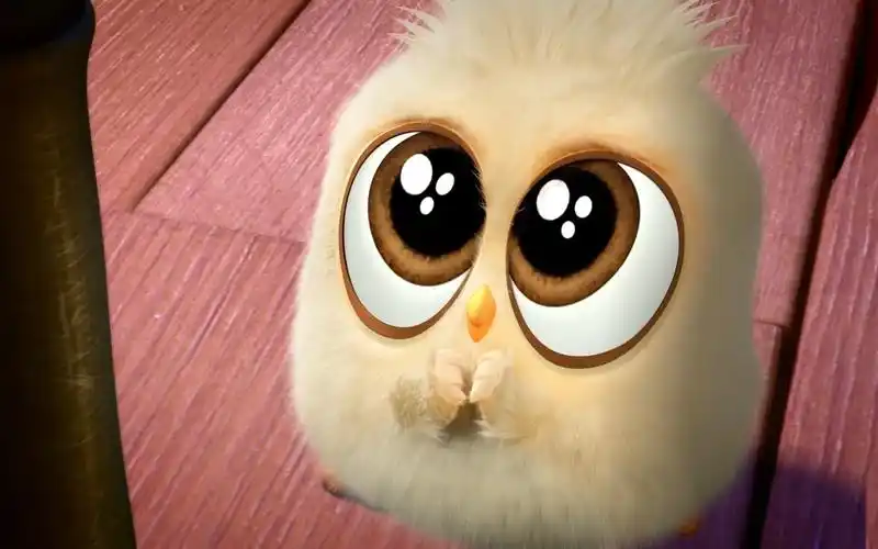 小鸟拥有可爱的眼神,该眼神一出,周围人都听它的话,动画