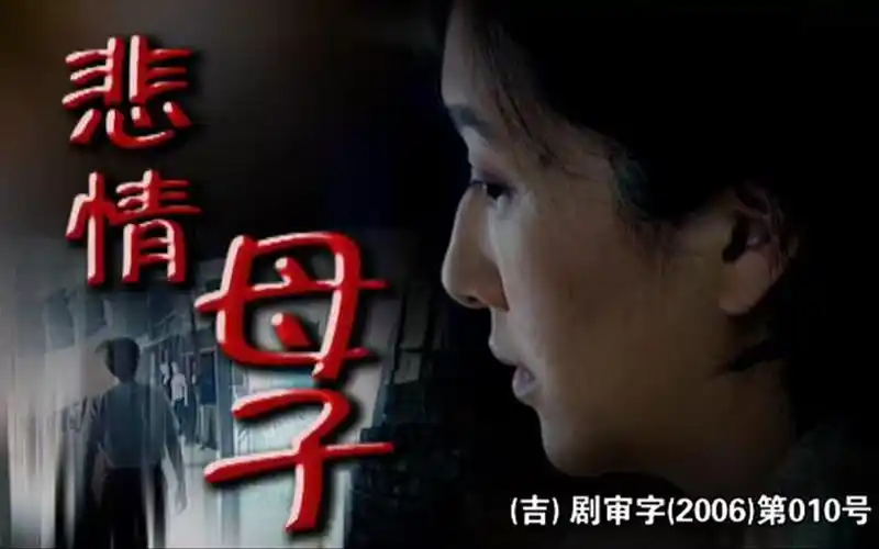 悲情母子第9集-电视剧-全集-高清正版在线观看-bilibili-哔哩哔哩