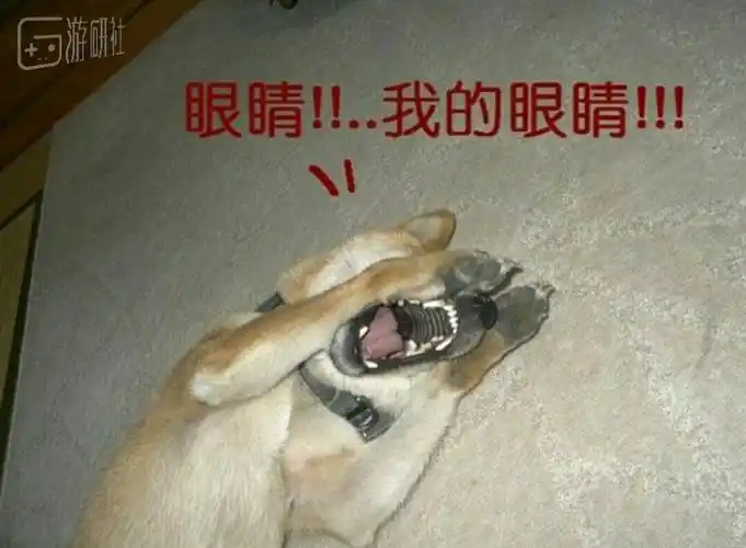 机甲护盾镭射枪那些活在游戏中的未来兵器或许很快就会走进现实