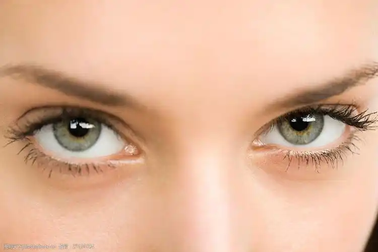 设计图库 高清素材 人物 关键词:外国女人双眼特写图片素材 眼睛 双眼