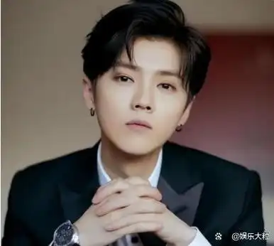 脱离粉丝圈的鹿晗这次的举动却赢得了一些路人的认可,他们纷纷竖起大