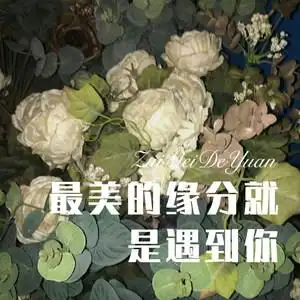 最美的缘分就是遇到你