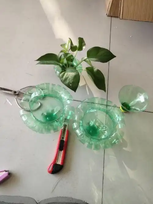 雪碧瓶不要扔了,可以做成漂亮的花篮,养点花花草草在室内装饰很漂亮哦