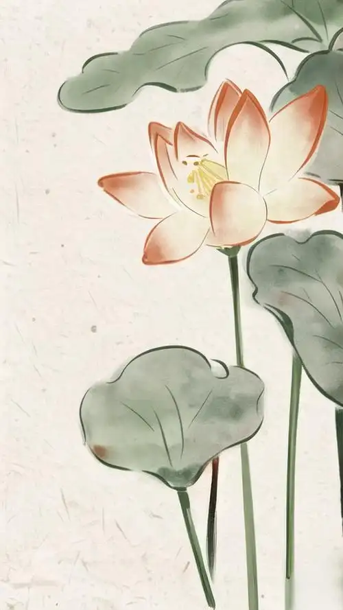 荷花手机壁纸🌸夏日荷塘美景