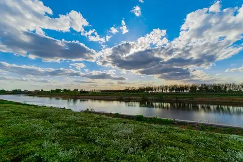 蒲河公园湿地随拍