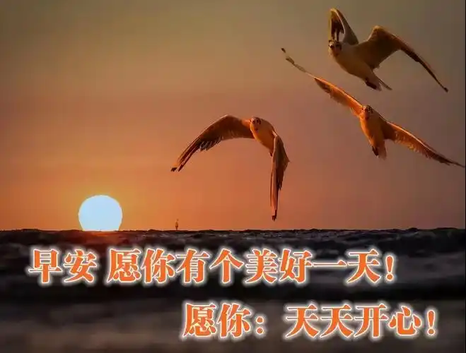 清晨最美早上好动态祝福图片带字早上好阳光励志问候语
