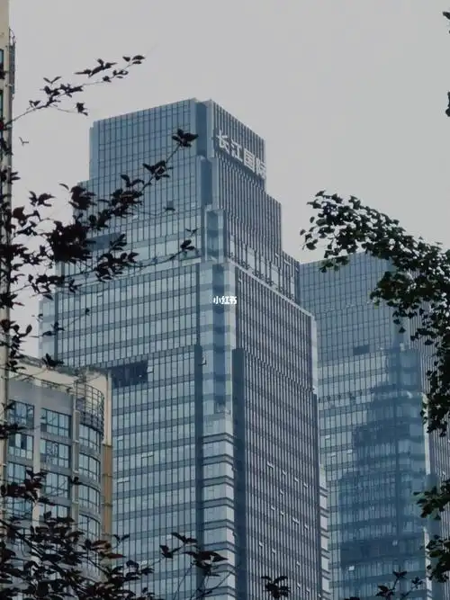 长江国际自由行热门攻略_嘉陵江_长江国际18楼_出行_人文风光展示