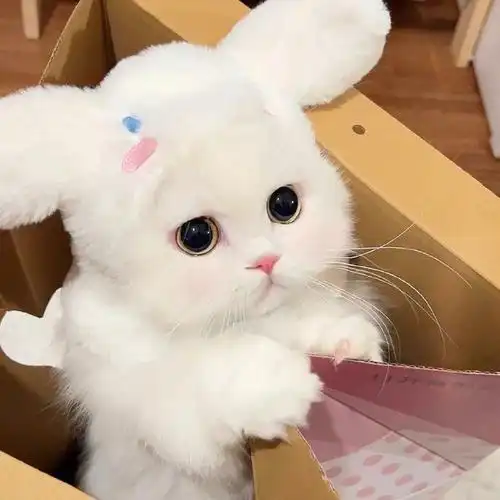 一组搞怪沙雕头像