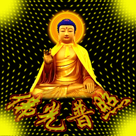 500_500gif 动态图 动图