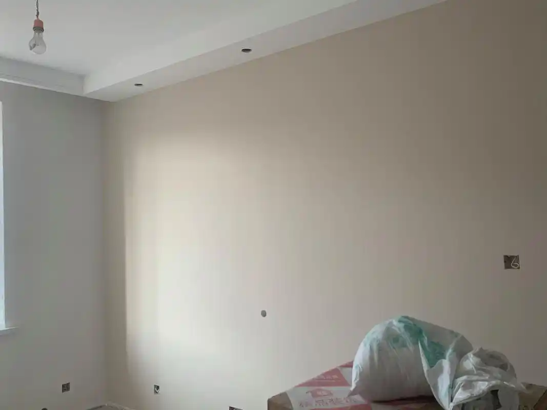 杏子灰 布莱垦棕电视背景墙 下午五点40左右在房子里拍的.