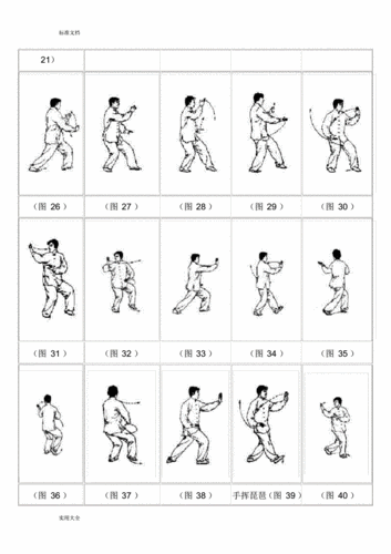 24式简化太极拳现用图解pdf14页
