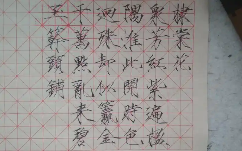 【宋徽宗瘦金体】棣棠花通临