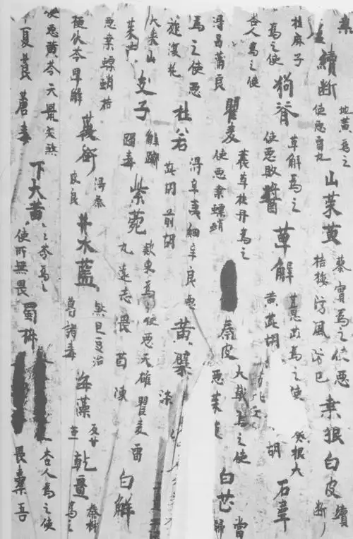 p>《神农本草经》又称 a target="_blank" href="/item/《本草经》