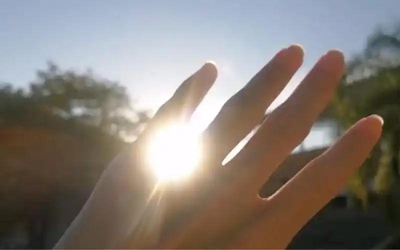 某个阳光灿烂的下午,很喜欢伸手去触摸阳光,耳边还有小鸟的叫声