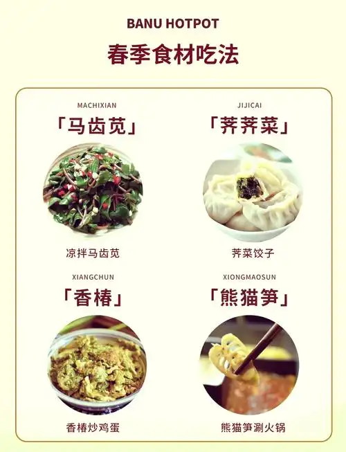 97春天的鲜味:瓜子菜来啦!