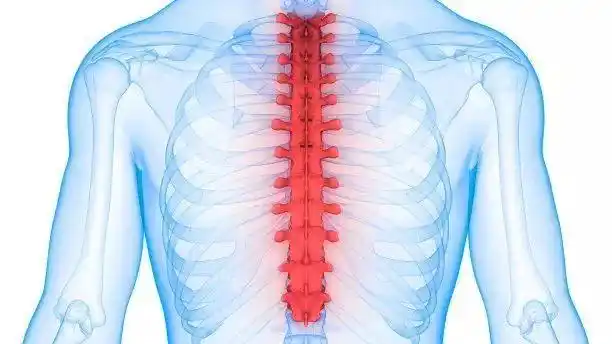 颈肩不适反复腰痛问题都出在了胸椎上