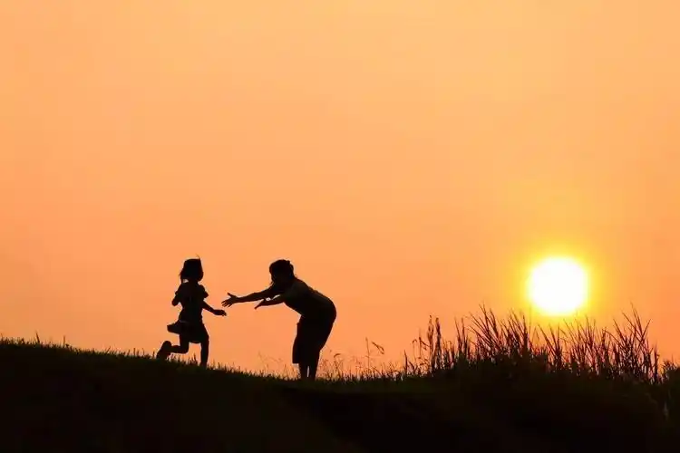 其实,却越难体会到温暖和感动.年岁越长,阅历越多