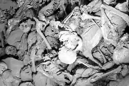 唐山南湖原来是万人坑,唐山南湖的前世今生