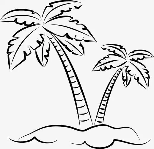 手绘的椰子树