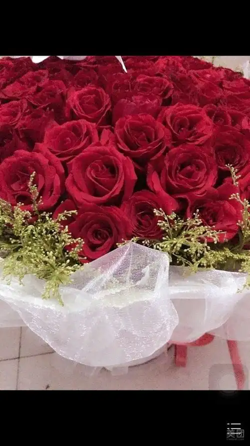 金达莱鲜花(富士康)