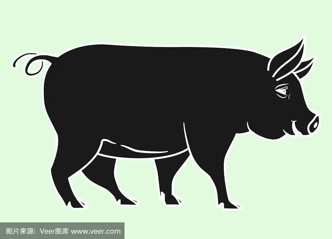 猪黑色的仔猪剪影孤立在光