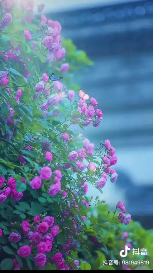 春- 堆糖,美图壁纸兴趣社区