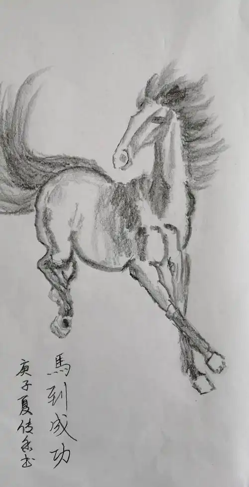 《骏马》传香 20207.