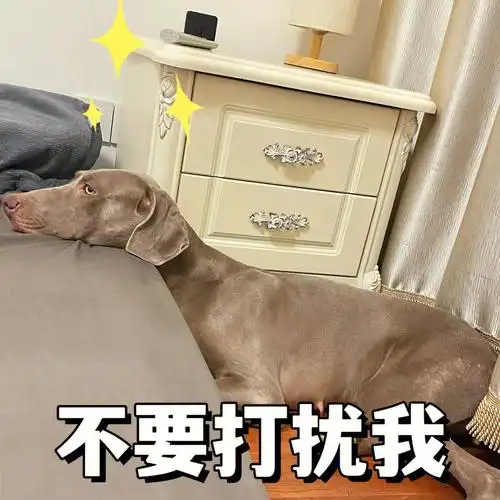 总在危险边缘疯狂试探