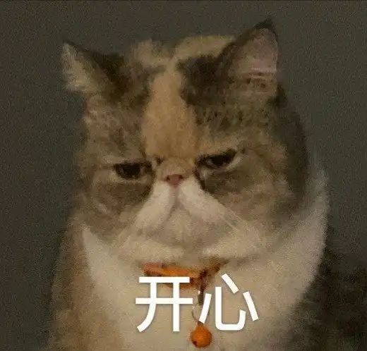 萌宠gif喵星人gif开心gif假装很开心gif呆萌gif憨憨gif